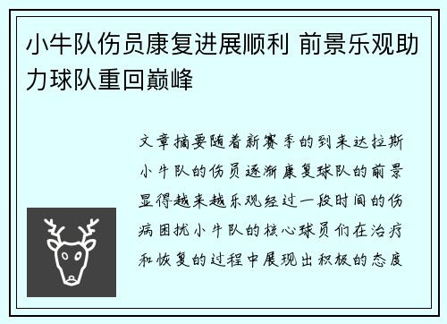 小牛队伤员康复进展顺利 前景乐观助力球队重回巅峰