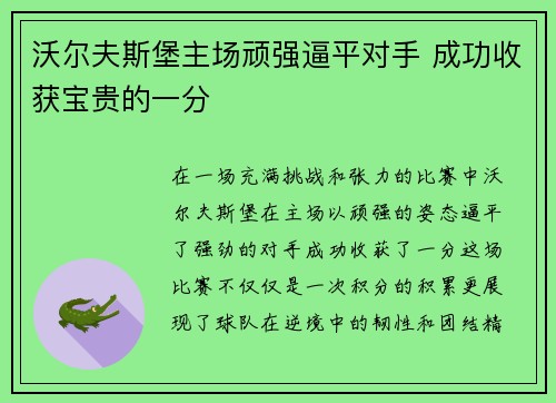 沃尔夫斯堡主场顽强逼平对手 成功收获宝贵的一分