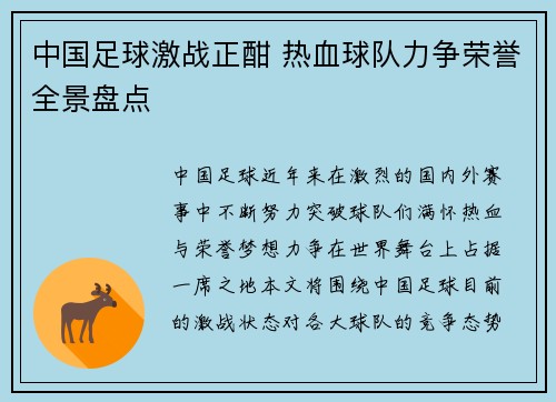 中国足球激战正酣 热血球队力争荣誉全景盘点