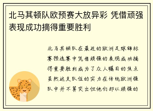 北马其顿队欧预赛大放异彩 凭借顽强表现成功摘得重要胜利